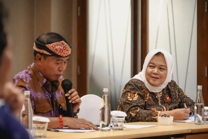 Gubernur Ikuti Workshop Persiapan MoU dengan Kemenko Marves